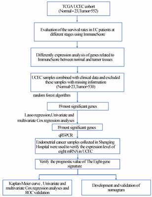 ImmuneScore of eight-gene signature predicts prognosis and survival in patients with endometrial cancer